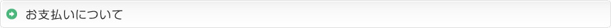 お支払いについて